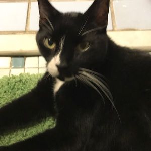 Meet your Posher, Carla